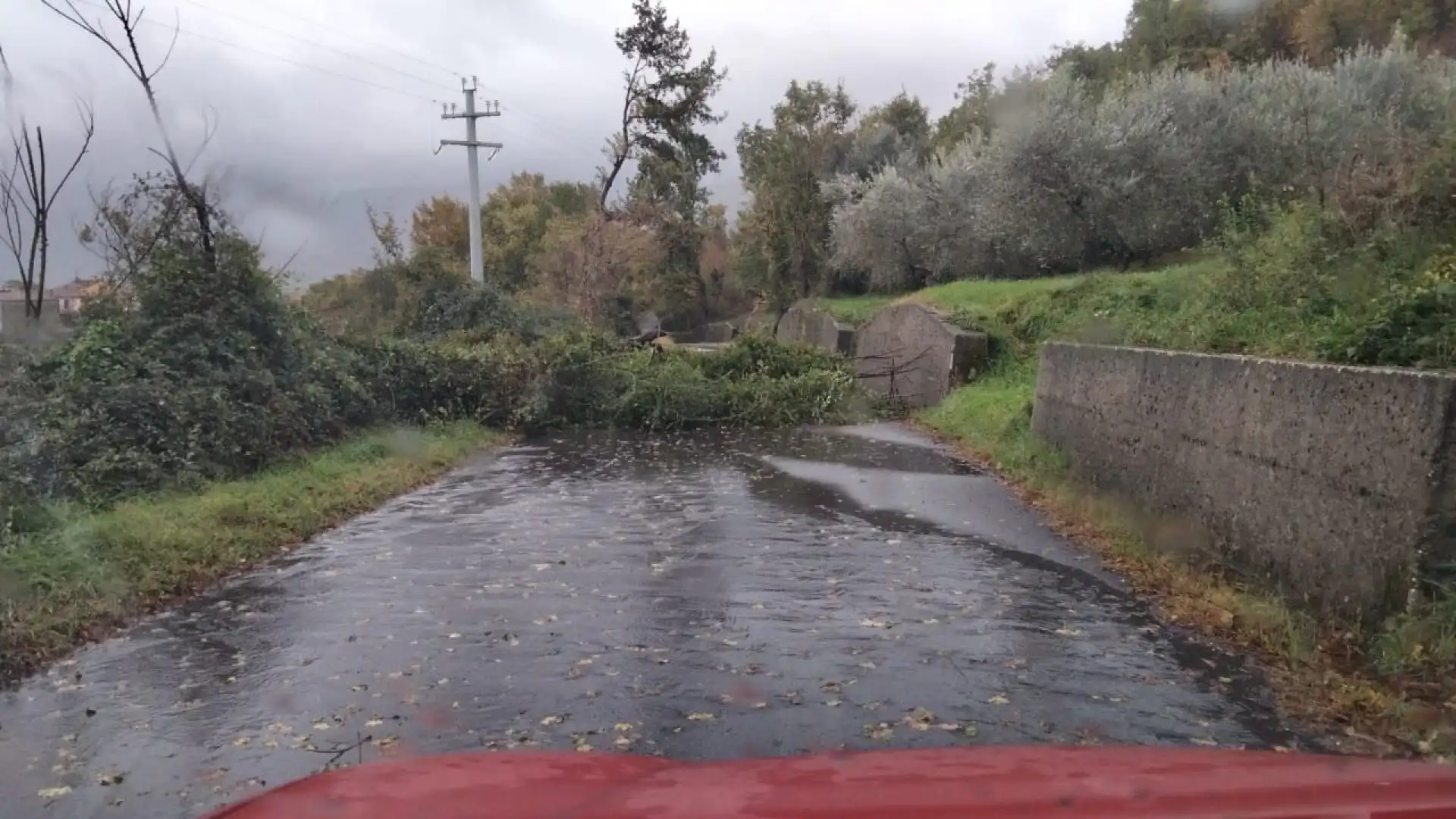 Maltempo nella Provincia di Isernia: alberi in strada, allagamenti, e portata dei fiumi notevolmente aumentata. Il Ciclone si sta abbattendo sul territorio. Allerta meteo fino alla serata odierna. Guarda il video